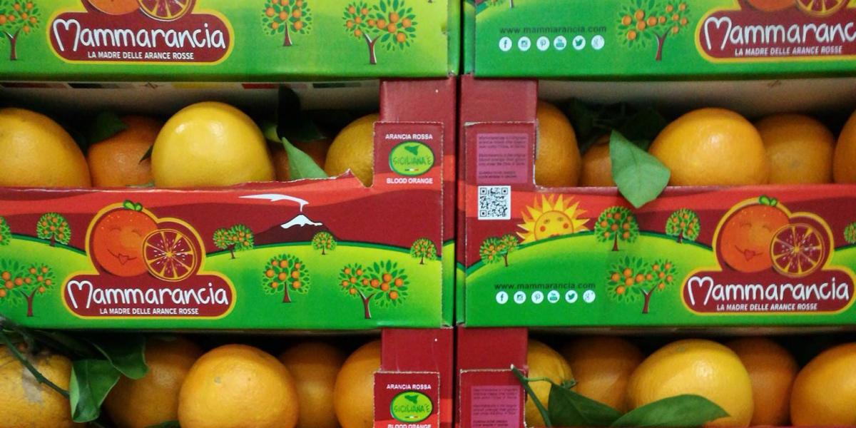 Agricola Ortogroup: «La domanda di arance ristagna dopo un avvio esaltante»